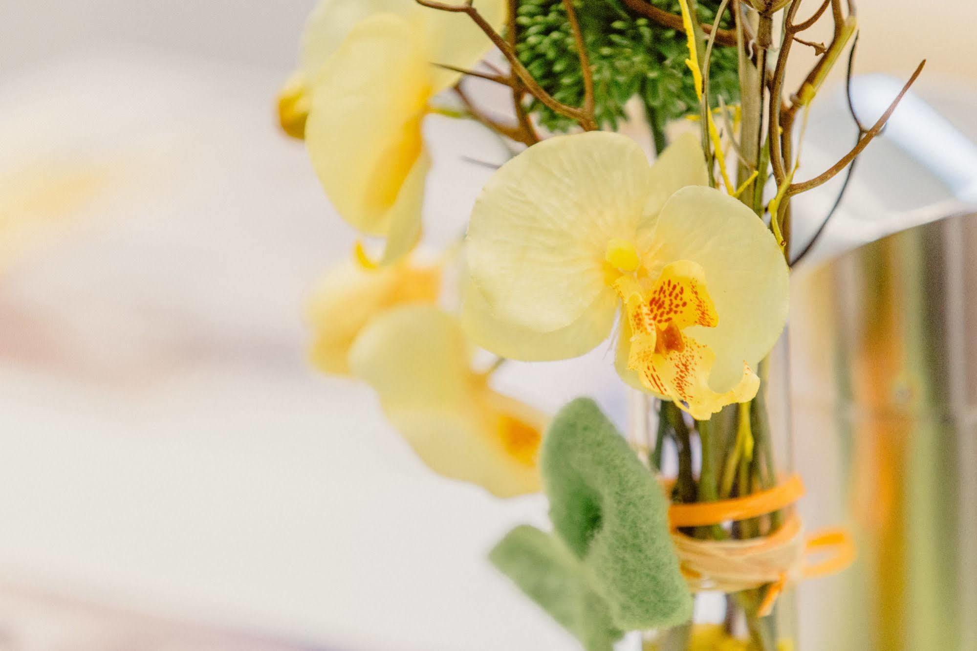 Fair Hotel Moenchengladbach City Zewnętrze zdjęcie